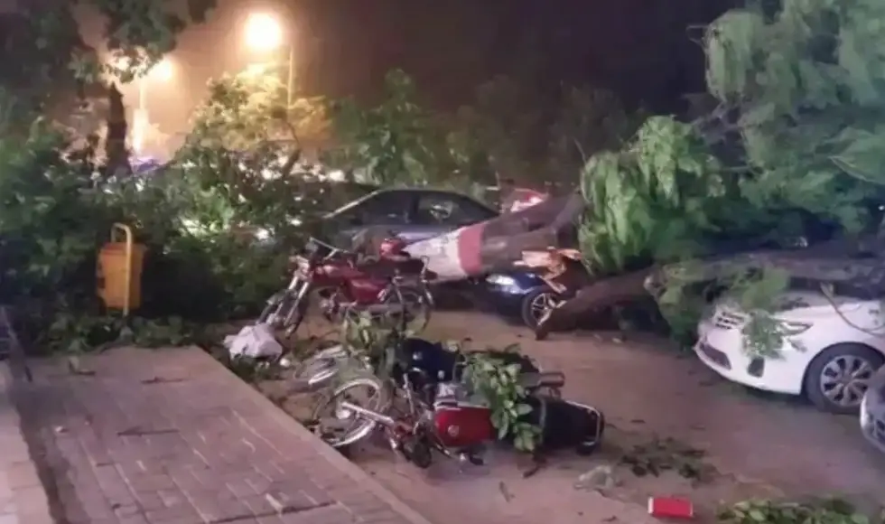 دارالحکومت اسلام آباد اور پشاور میں شدید آندھی اور طوفان کے باعث سائن بورڈز گرنے کے باعث 2 خواتین سمیت کئی افراد زخمی ، راولپنڈی میں ہونے والے پشاور ذلمی اور لاہور قلندر کے درمیان میچ شروع ہو سکا